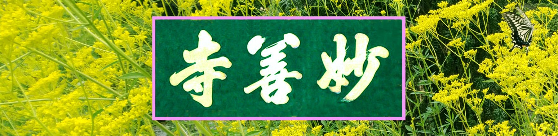 宗教法人・天台宗道人山妙善寺/小江戸川越七福神第一番寺(毘沙門天)